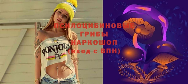прущие грибы Бронницы