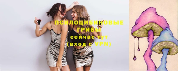 гашик Богданович