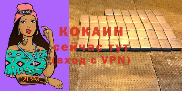 прущие грибы Бронницы