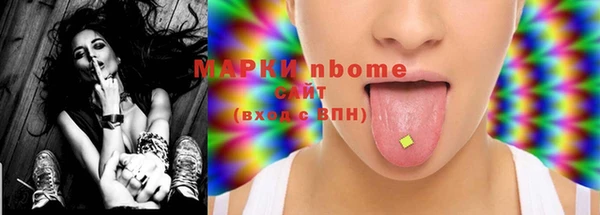 прущие грибы Бронницы