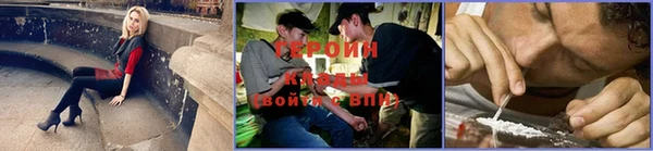 гашик Богданович