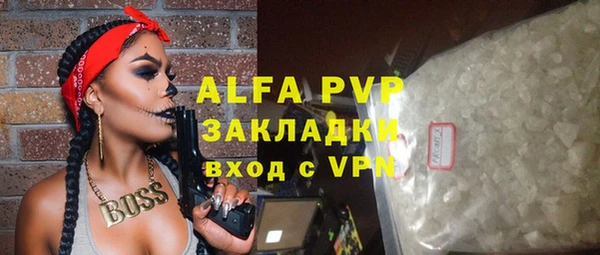 гашик Богданович