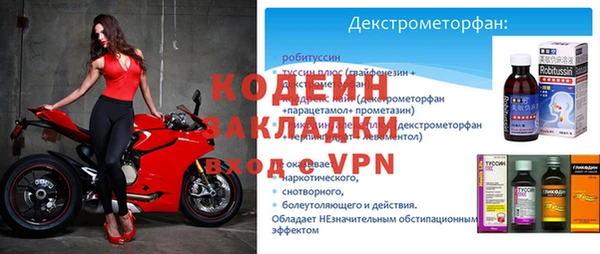 прущие грибы Бронницы