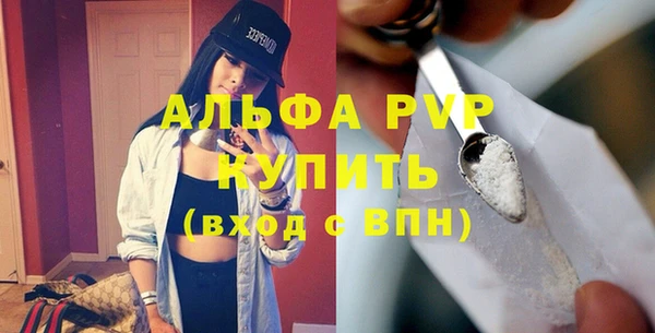 гашик Богданович