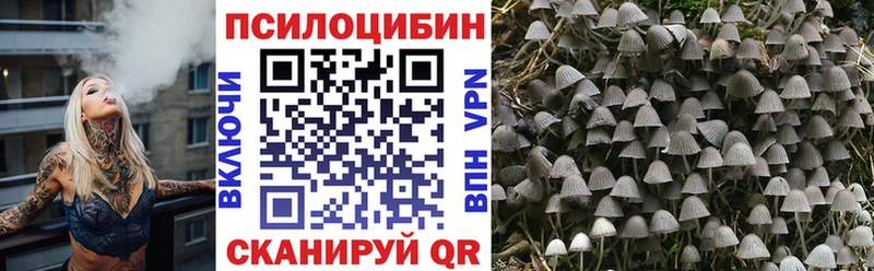 Галлюциногенные грибы прущие грибы  дарнет шоп  сайты даркнета состав  Далматово 